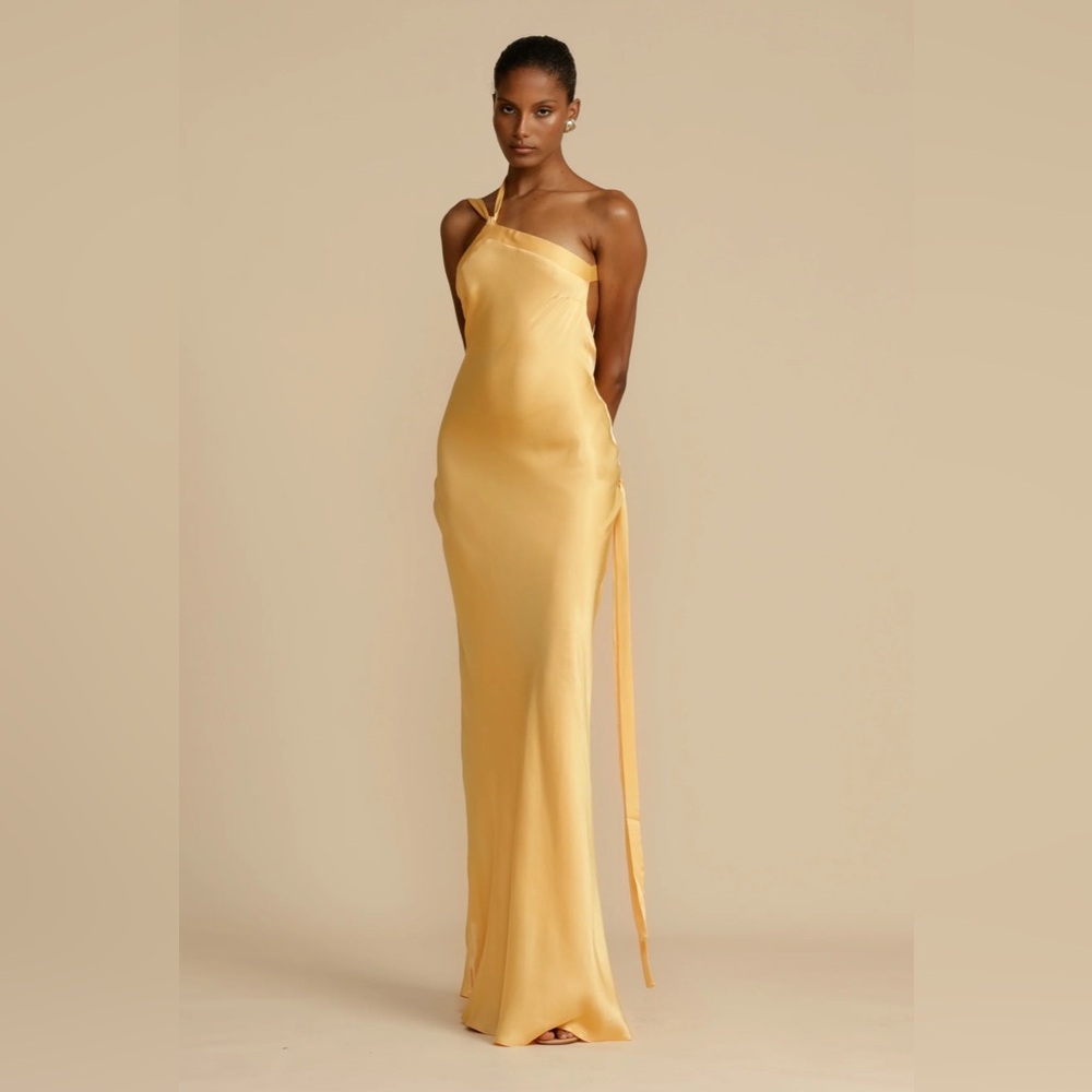 Arcina Ora Monique Dress - BRAND NEW W TAG